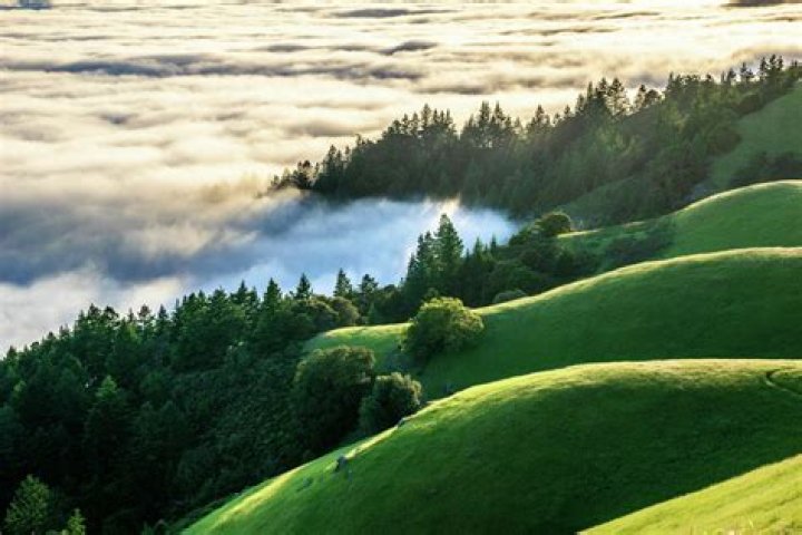 How far is Mt Tamalpais from San Francisco?