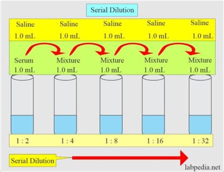 How is ESOP dilution calculated?