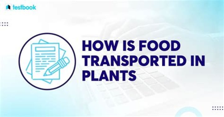 How is food related to geography?