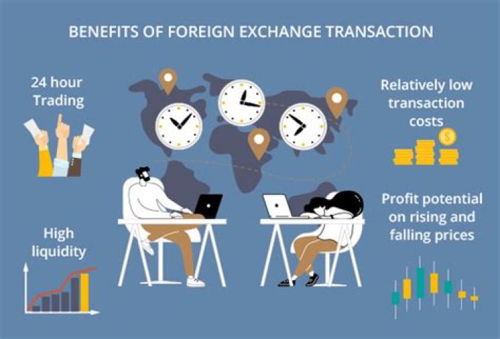 How is foreign exchange used in trade?