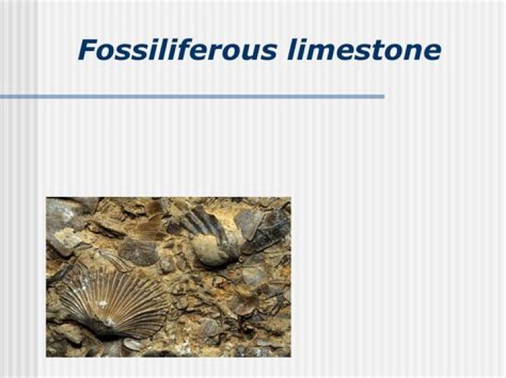 How is fossiliferous limestone formed?