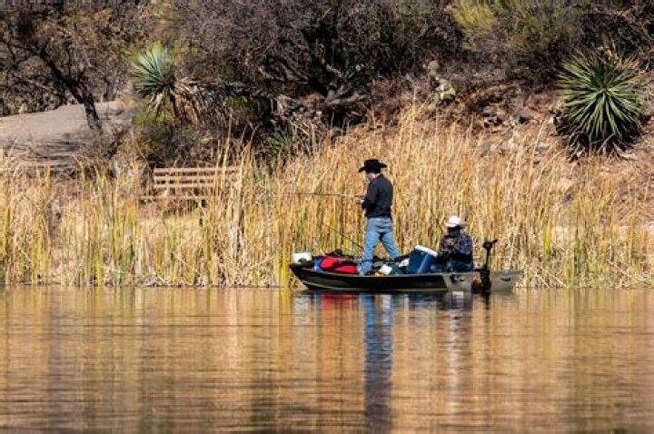 How is the fishing at Patagonia Lake?