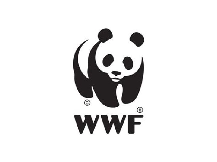 How is the WWF funded?