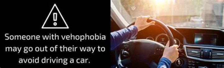 How is Vehophobia treated?