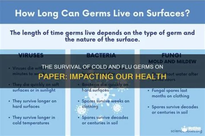 How long do cold germs live on paper?