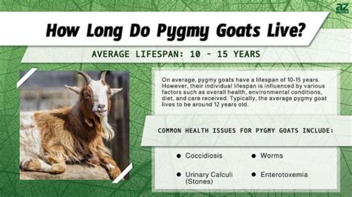 How long do feral goats live for?
