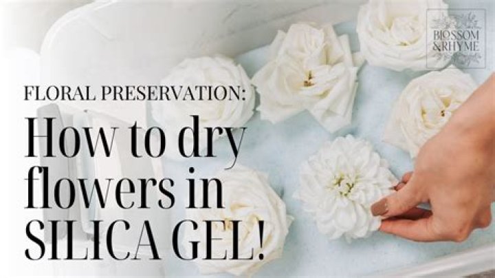 How long do flowers dried in silica gel last?