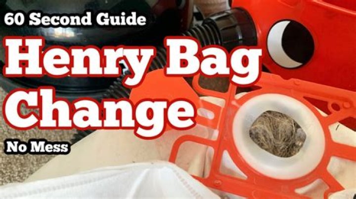 How long do Henry bags last?