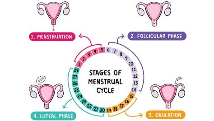 How long does a 13 year old period last?