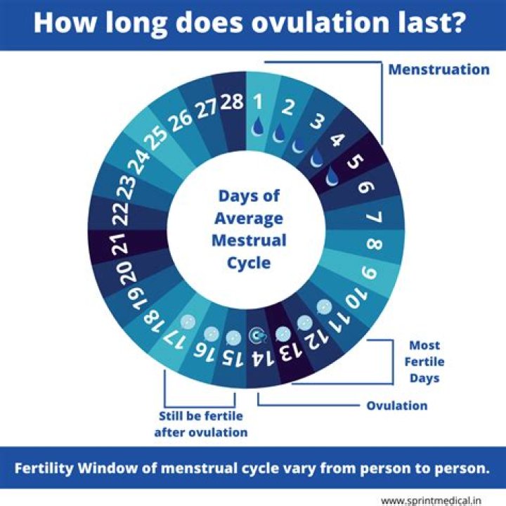 How long does egg pie last?