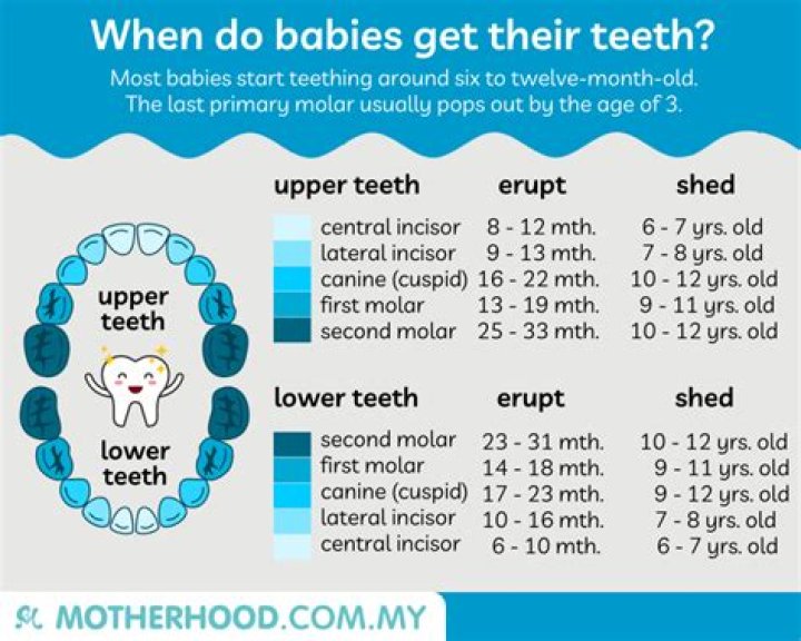 How long does it take for baby's teeth to fully emerge?