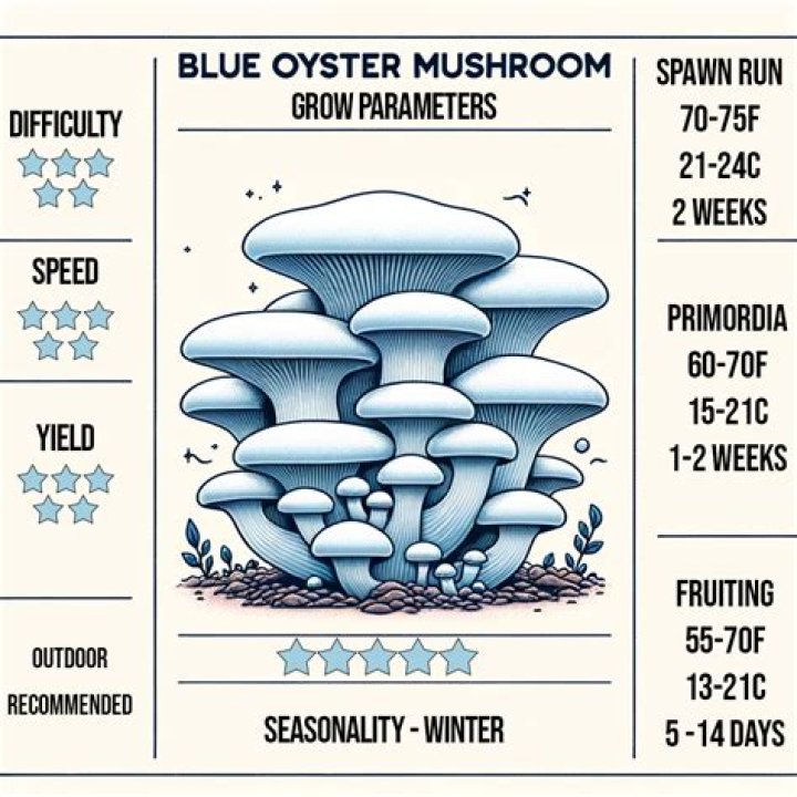 How long does it take for Blue Oyster mushrooms to grow?