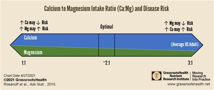 How long does it take for calcium magnesium to work?