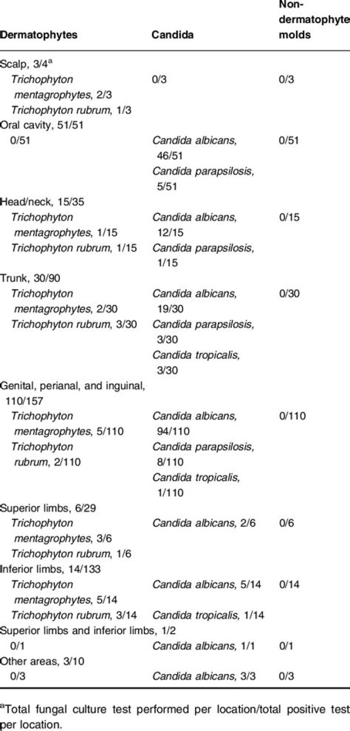 How long does it take for fungal culture results?