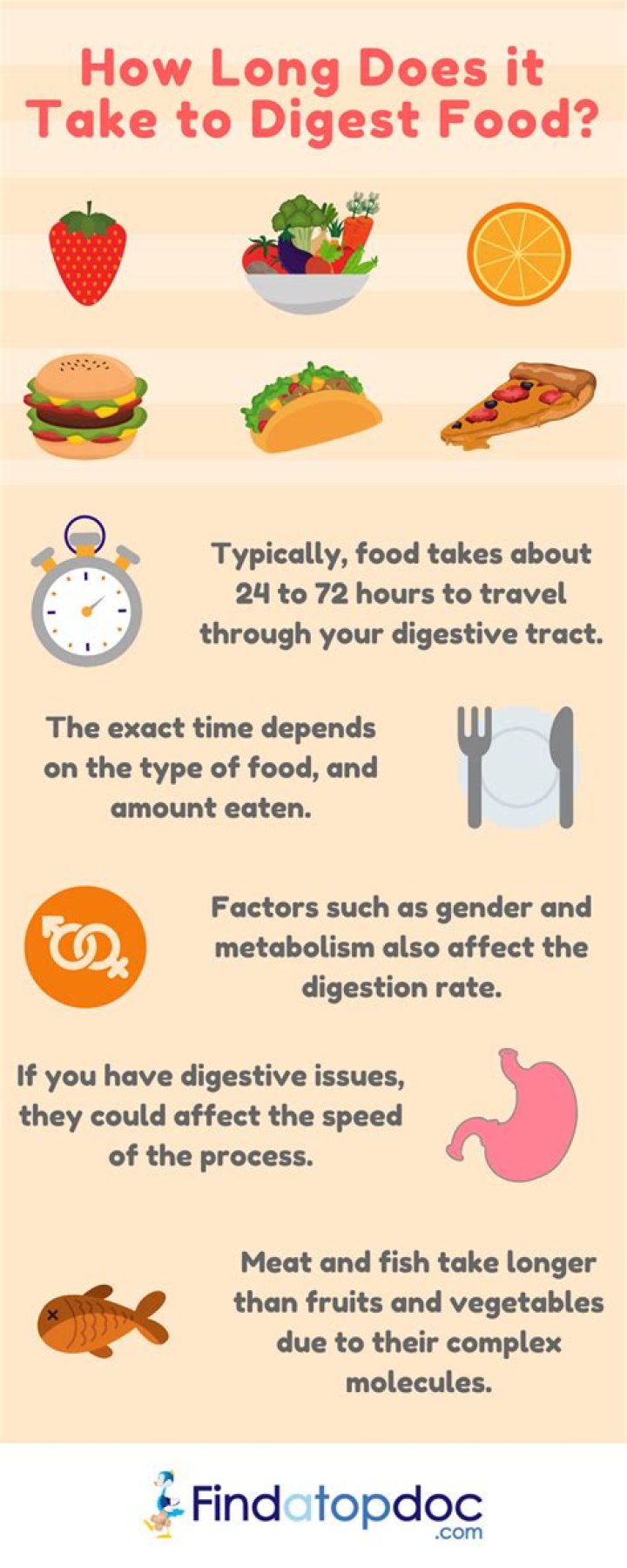 How long does it take to digest an Oreo?