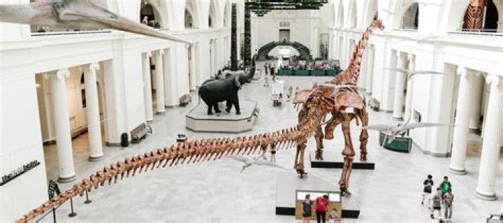 How long does it take to go through the Field Museum in Chicago?