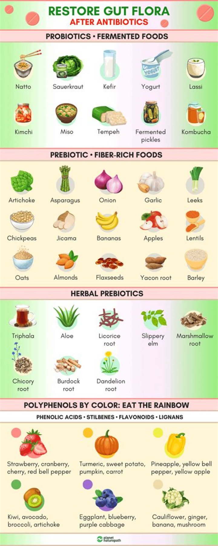 How long does it take to rebuild gut flora after antibiotics?