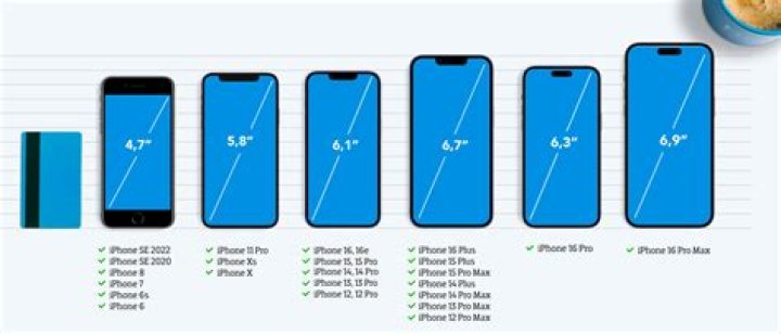 How long is a iPhone 8 plus in inches?