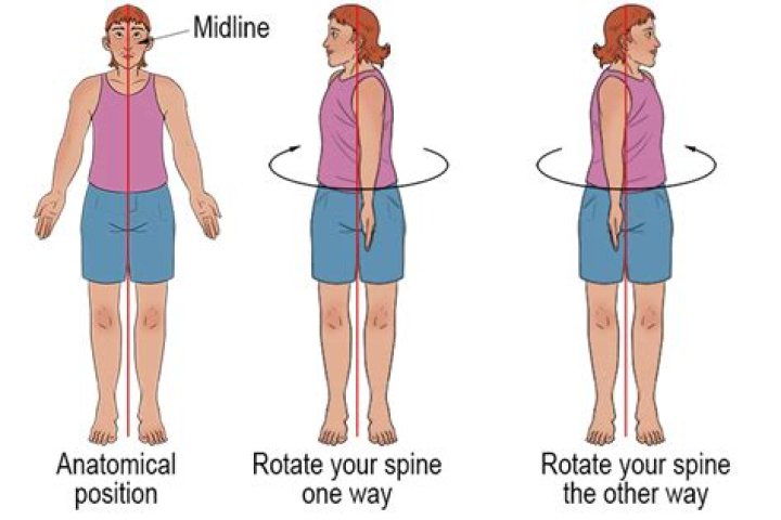 How long is a medical rotation?