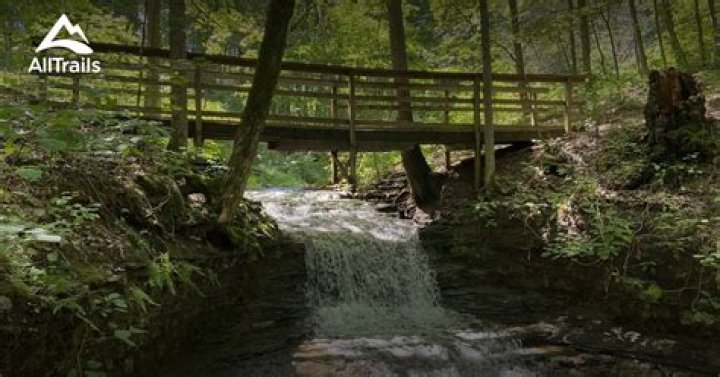 How long is Trail 3 at Charlestown State Park?