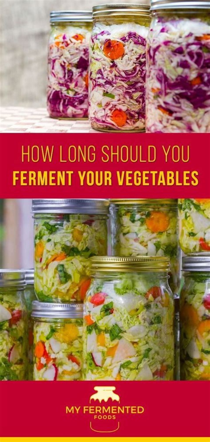 How long should Lager ferment?