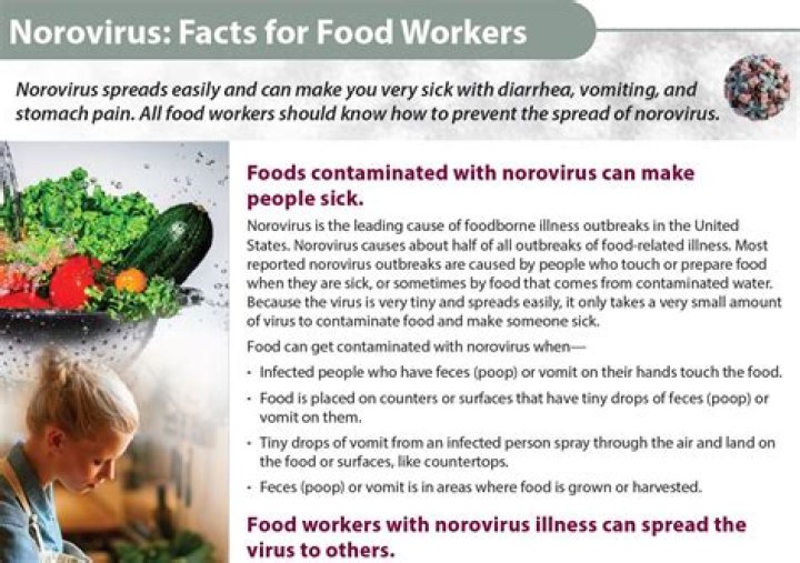 How long should you stay off work with norovirus?
