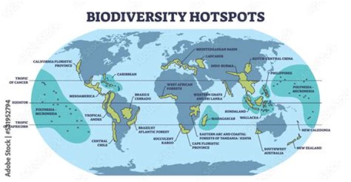 How many biodiversity hotspots are there in Brazil?