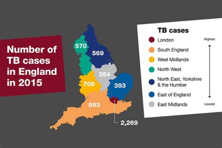 How many cases of TB are there in Europe?