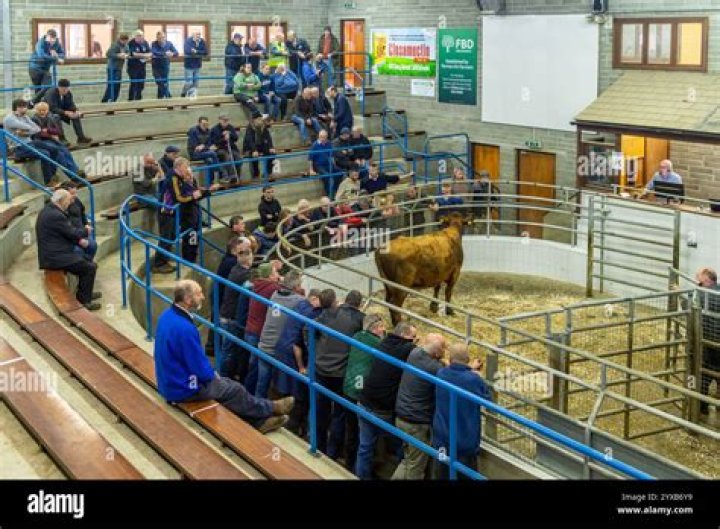 How many cow Marts are in Ireland?