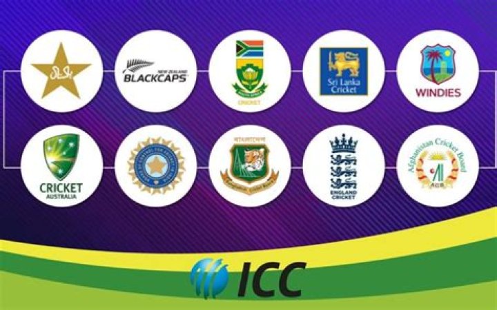 How many cricket test matches have Ireland played?