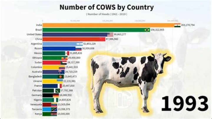 How many dairy cows are in China?