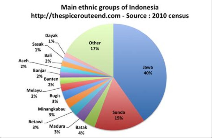 How many ethnicities are there in Indonesia?