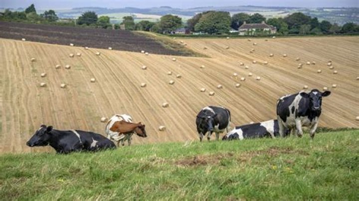 How many farms are in Scotland?