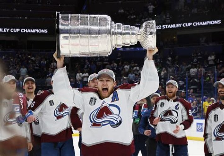 How many goals were scored in the Stanley Cup final?