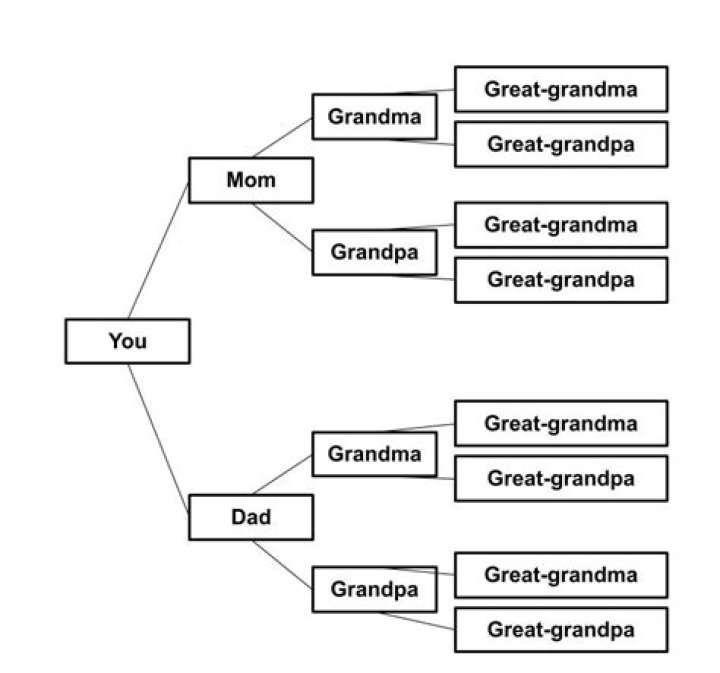 How many great grandparents can a person have?