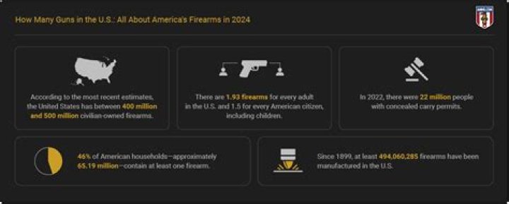 How many guns are in the US in 2019?