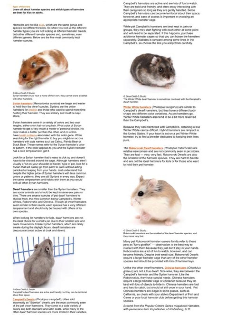 How many hamster types are there?