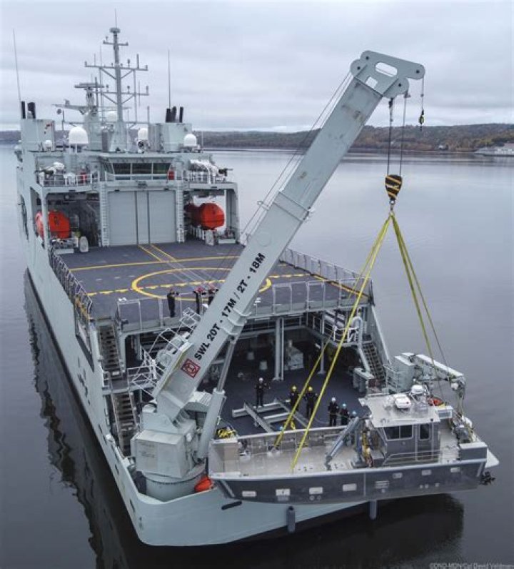 How many Harry DeWolf class ships are there?