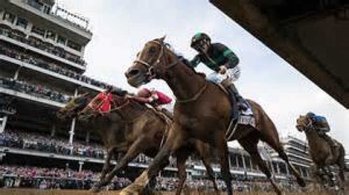 How many horses does Bob Baffert have in training?