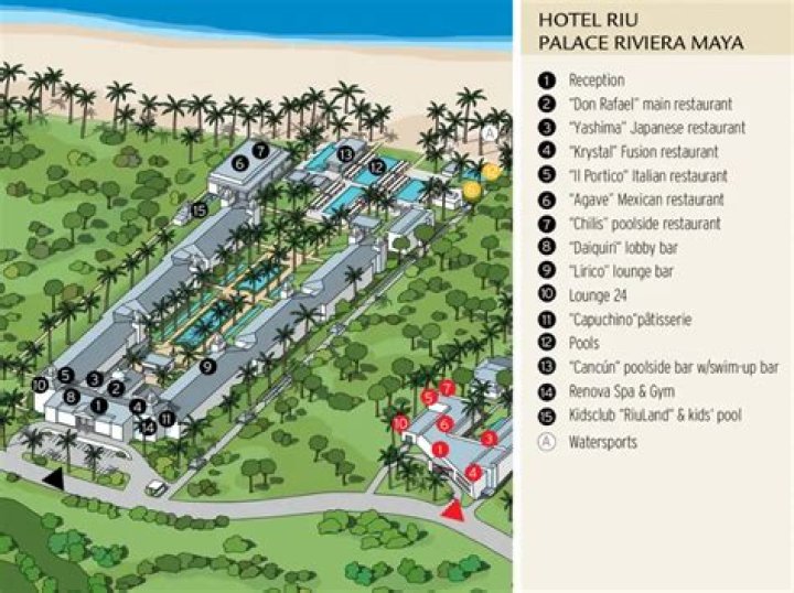 How many hotel does Riu have in Maldives?