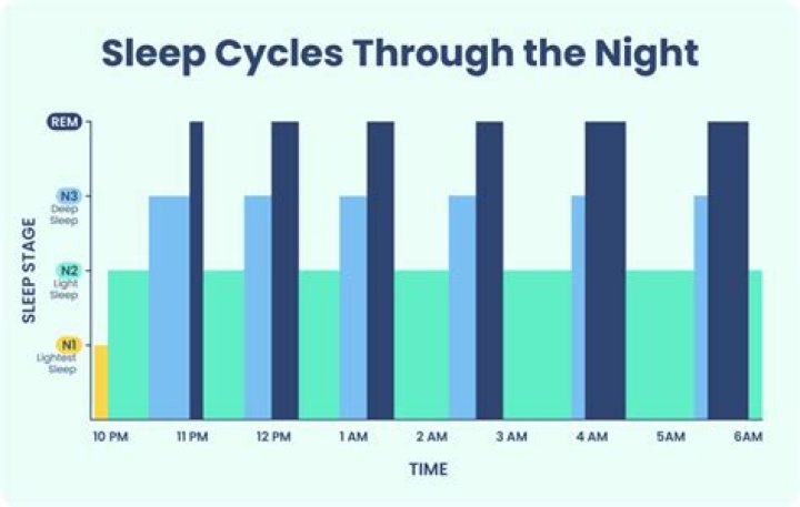 How many hours should a 4 month old kitten sleep?