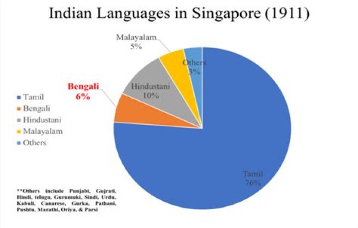 How many Indian are in Singapore?