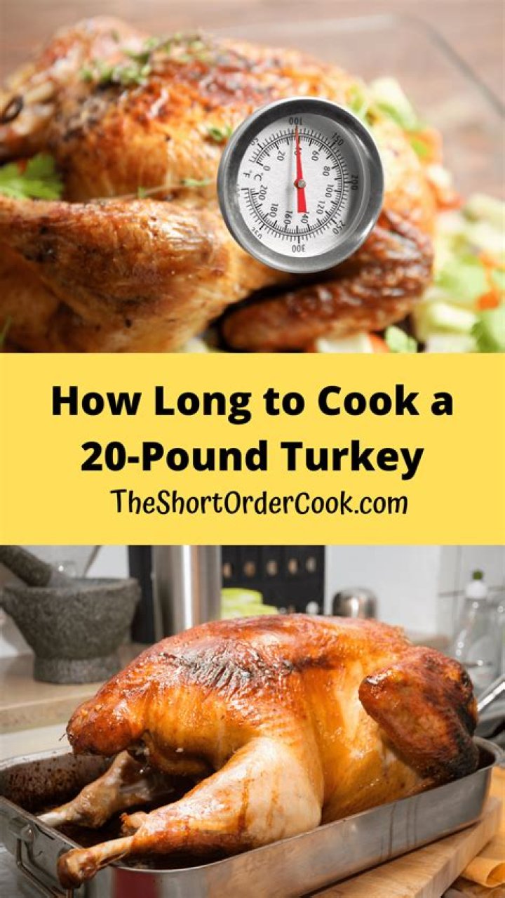 How many kg is a 20 pound turkey?