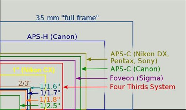 How many megapixels is Canon 700d?