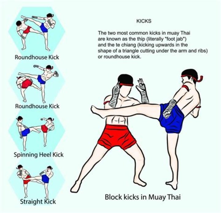 How many moves are there in Muay Thai?