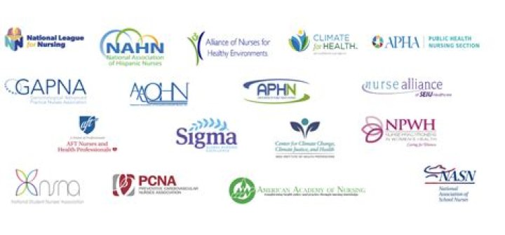 How many nursing organizations are there?