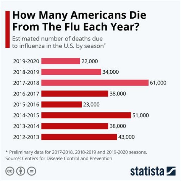 How many people died of the flu in US in 2019?