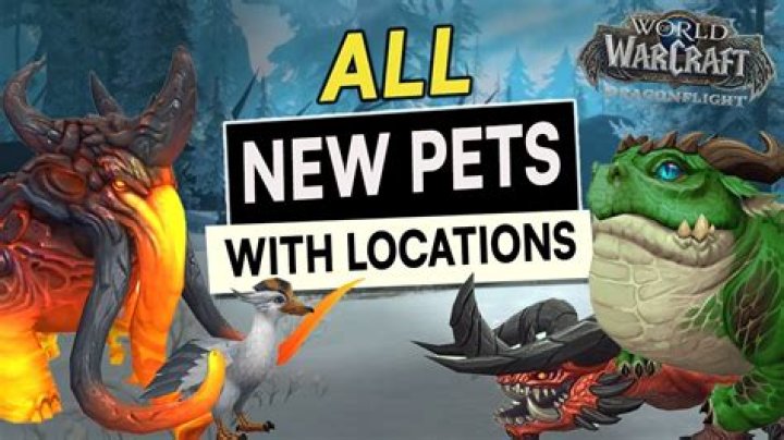 How many pets can you have in WoW?