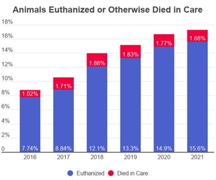 How many pets die each year from abuse?