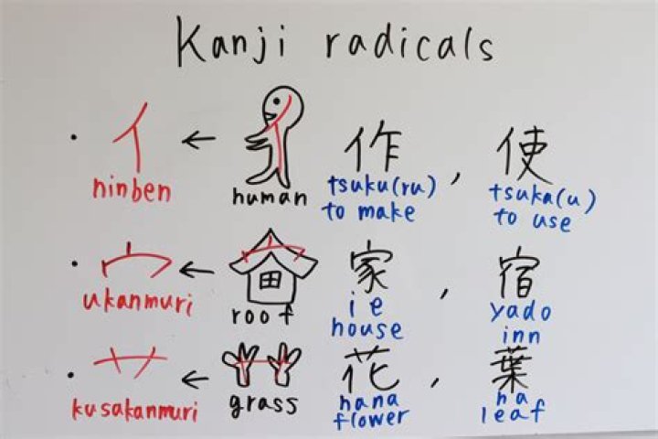 How many radicals are there in kanji?
